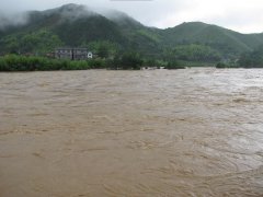 自動雷達水位雨量監測系統，為抗洪工作提供數據支持