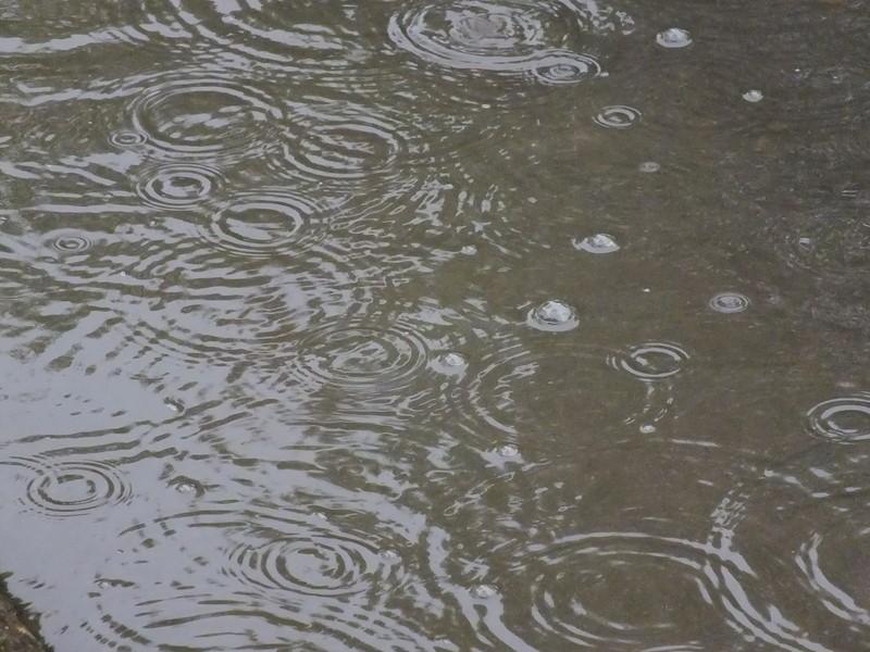 雨量監測儀，提供雨量原始數據