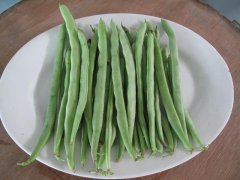 農藥殘留檢測儀，檢測四季豆農藥殘留含量