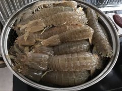 皮皮蝦中為什么會被檢測出鎘超標？