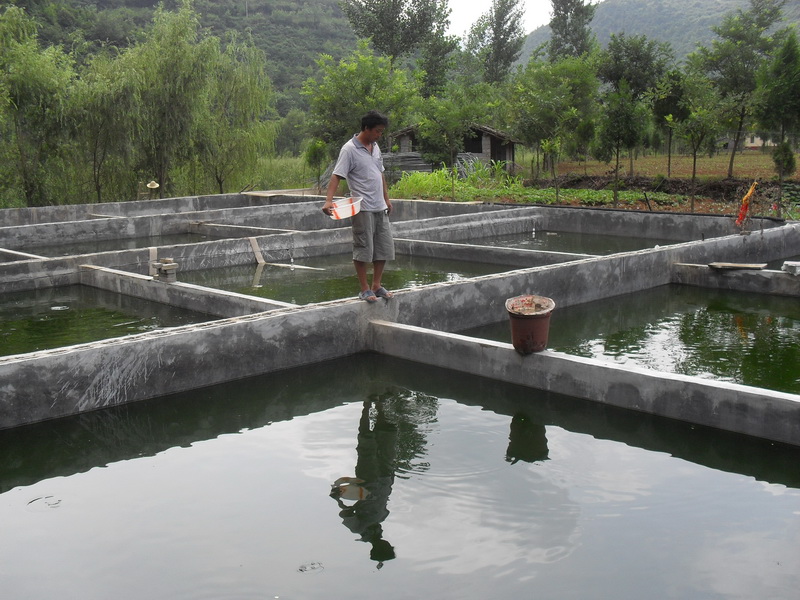 水中硫化氫檢測儀,可以為水產(chǎn)養(yǎng)殖做什么 水中硫化氫檢測儀,可以為水產(chǎn)養(yǎng)殖做什么